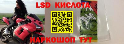 крисы Краснодар