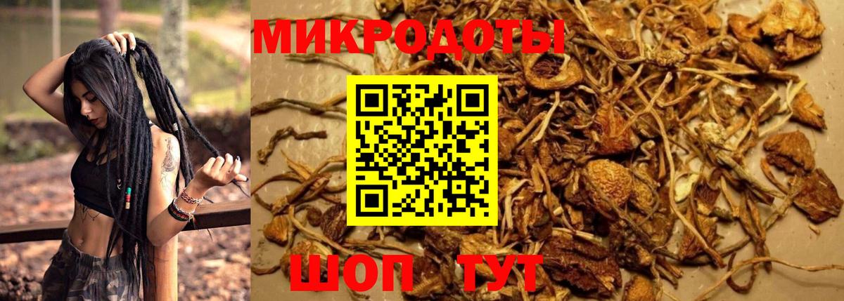 Галлюциногенные грибы MAGIC MUSHROOMS  Вход с VPN  Кинель 